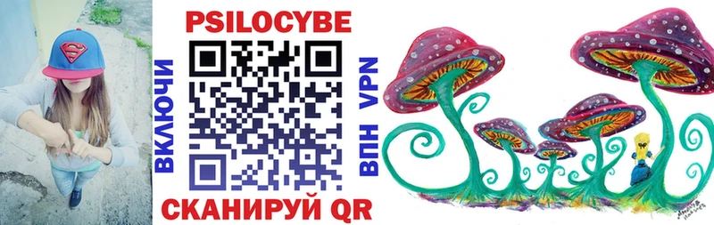 Псилоцибиновые грибы Psilocybine cubensis  Петропавловск-Камчатский 