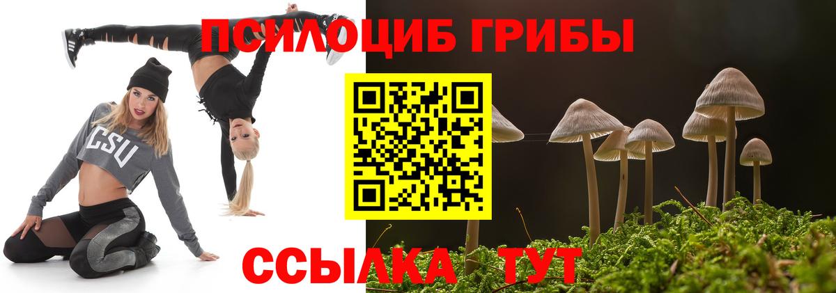 Псилоцибиновые грибы мухоморы  Псилоцибиновые грибы MAGIC MUSHROOMS  Петропавловск-Камчатский  Вход с VPN 